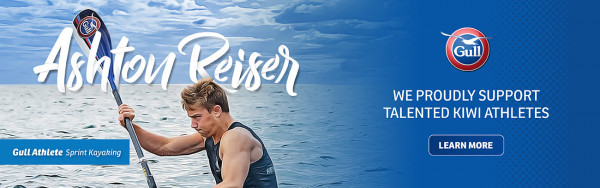 Gull Ashton Banner 1300x408